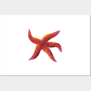 Starfish Glowing Pink and Orange Posters and Art